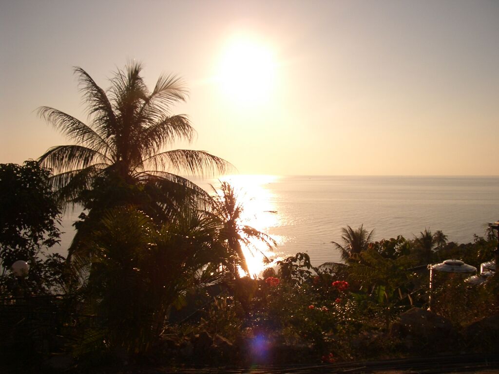 Click to See Next Image